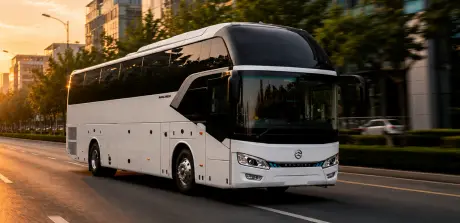 Gerente sénior Buenos-Aires Bus